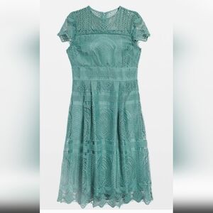White House Black Market Green Lace Dress cap sleeve fit and flare Ivy City Co